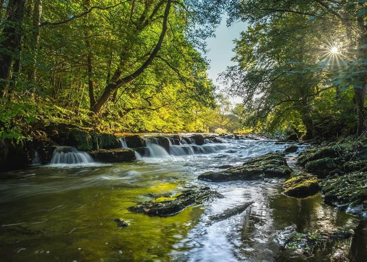 Отель Lowther Park Clifton  Экстерьер фото
